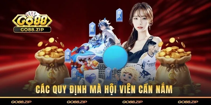 Các quy định mà hội viên cần nắm trong chính sách này